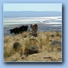 [Click to enlarge image]